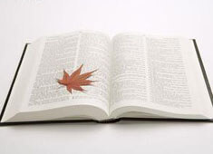 野人先生冰淇淋小程序自动抢券工具免费