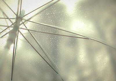 野人先生冰淇淋小程序自动抢券工具免费