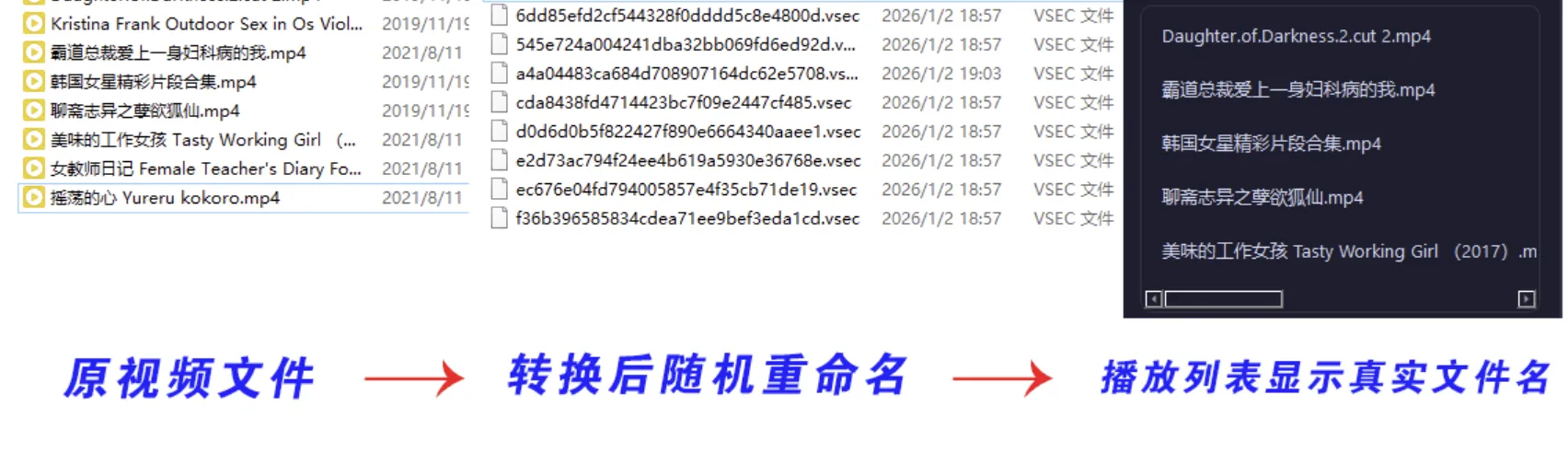 SecureVault Player V0.6.9 老司机专用播放器-私密视频防泄露工具