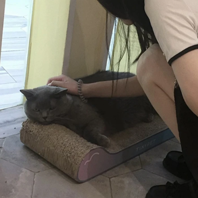 2023真秀恩爱的人情头合集 很火爆的精致的双人情侣头像