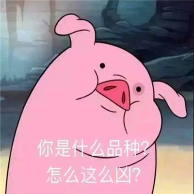 2023最新好玩有趣的qq头像 独一无二沙雕搞笑的逗比头像合集