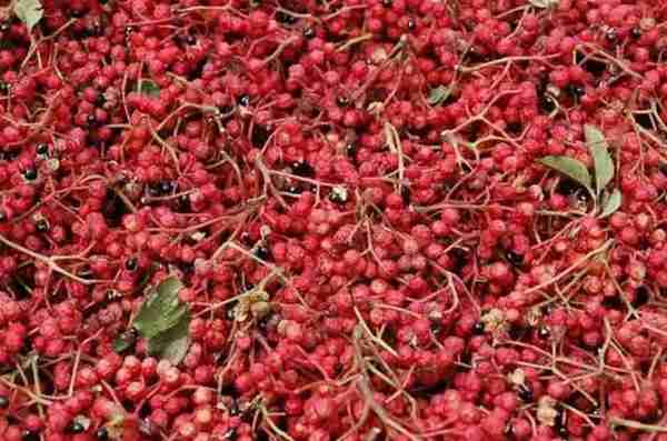 农村致富项目,种植什么最赚钱?来听听湖南种植大户怎么说