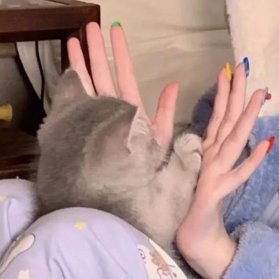 2022很有质感的浪漫情头 宠到心尖上情侣头像浪漫