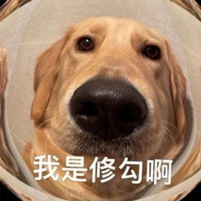 逗比头像沙雕女男生可爱图片 个性搞怪头像女男通用微信头像搞笑