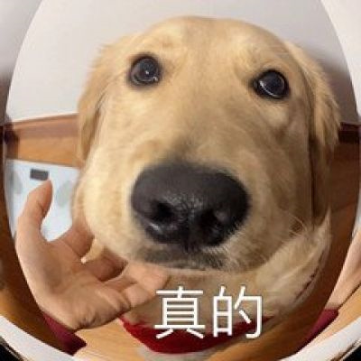 逗比头像沙雕女男生可爱图片 个性搞怪头像女男通用微信头像搞笑