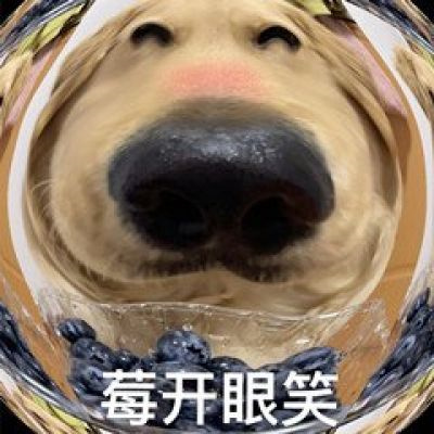 逗比头像沙雕女男生可爱图片 个性搞怪头像女男通用微信头像搞笑