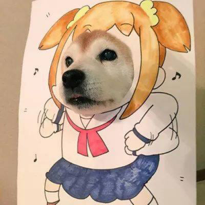 微信很火的狗头像图片合集 狗狗头像图片蠢萌男生女生专用