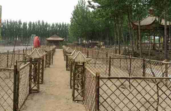 创业不如回农村,这8个赚钱好项目有干头,任意一个都比打工强!