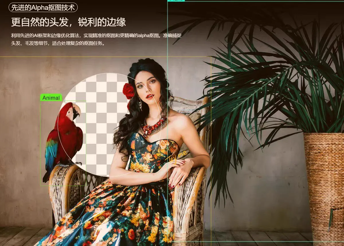 智能抠图 Matting2.6 一键快速抠图 PS 修图影楼设计 AI 抠图工具