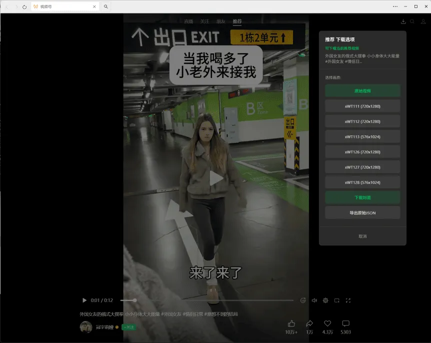 微信视频号下载助手 wx_channel V5.6.5 微信视频号下载助手 wx_channel V5.6.5