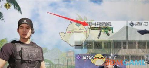 武器详细介绍界面