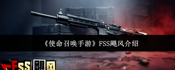 《使命召唤手游》FSS飓风冲锋枪详解