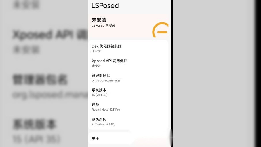 LSPosed_v2.2.1(7927)-第2张插图 LSPosed_v2.2.1(7927)-第2张插图