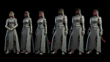 《博德之门3》塞鲁尼牧师半甲MOD