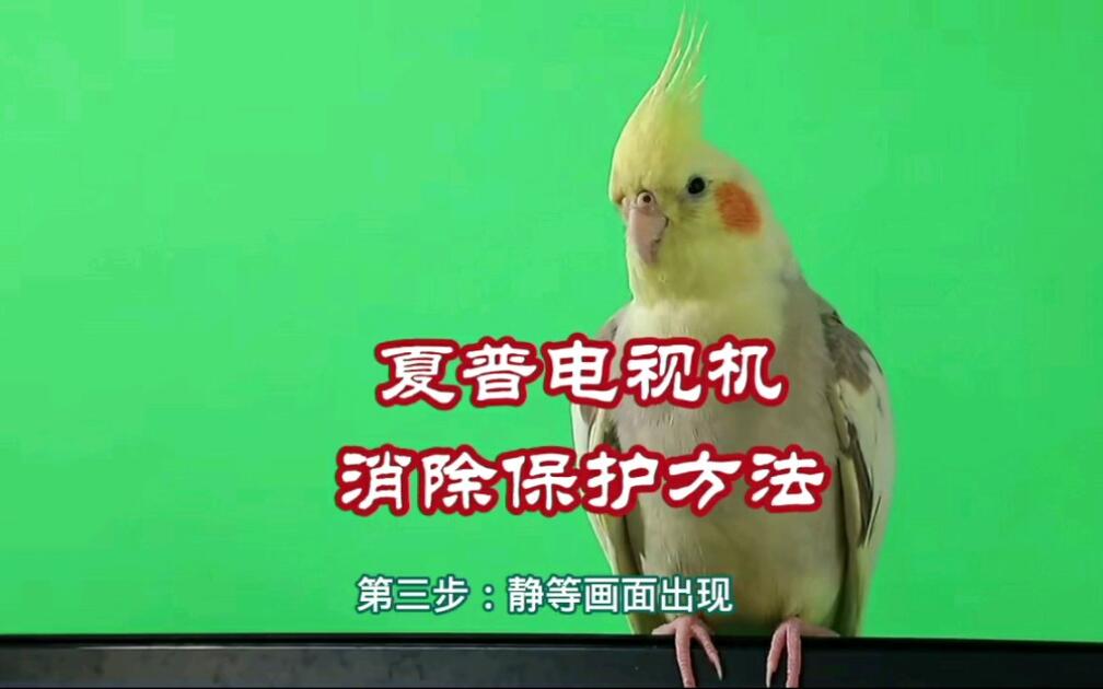 夏普电视机消除保护的方法