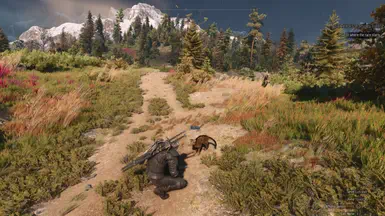 《巫师3：狂猎重制版》宠物猫伙伴MOD V1.0
