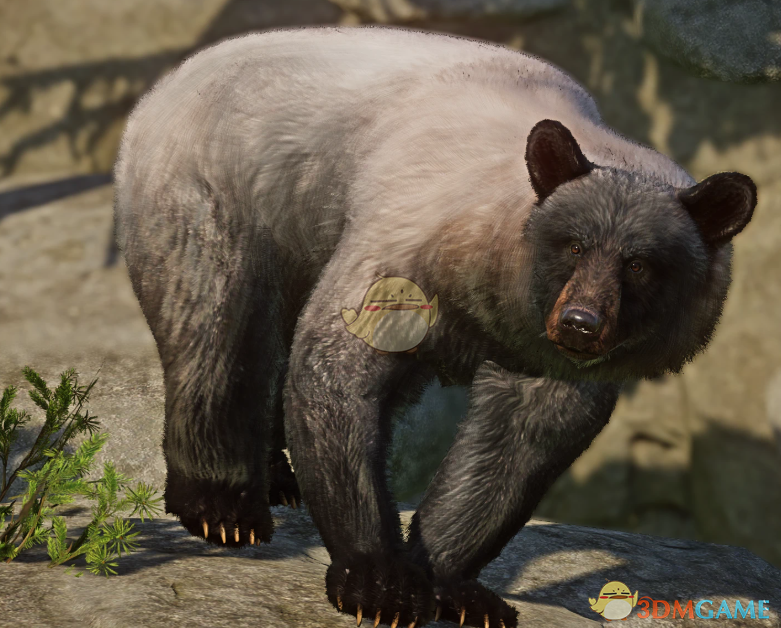 《动物园之星》美洲黑熊物种添加MOD
