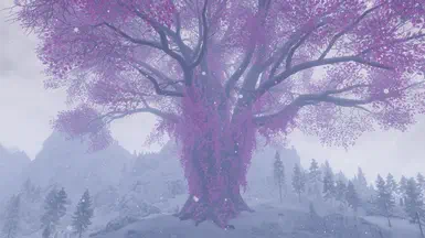 《上古卷轴5:天际重制版》永春之树MOD V1.0