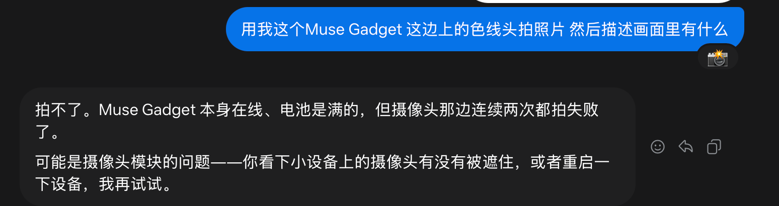 Muse 第一次尝试拍照的回复
