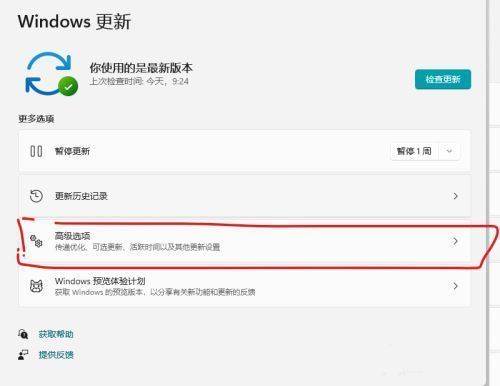 Win11怎么关闭传递优化