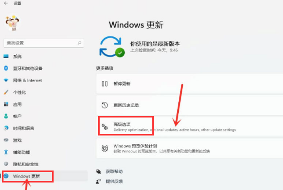 Win11怎么关闭传递优化