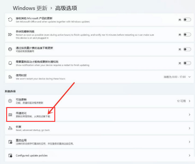 Win11怎么关闭传递优化