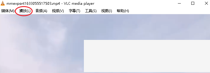 VLC怎么倍速播放视频